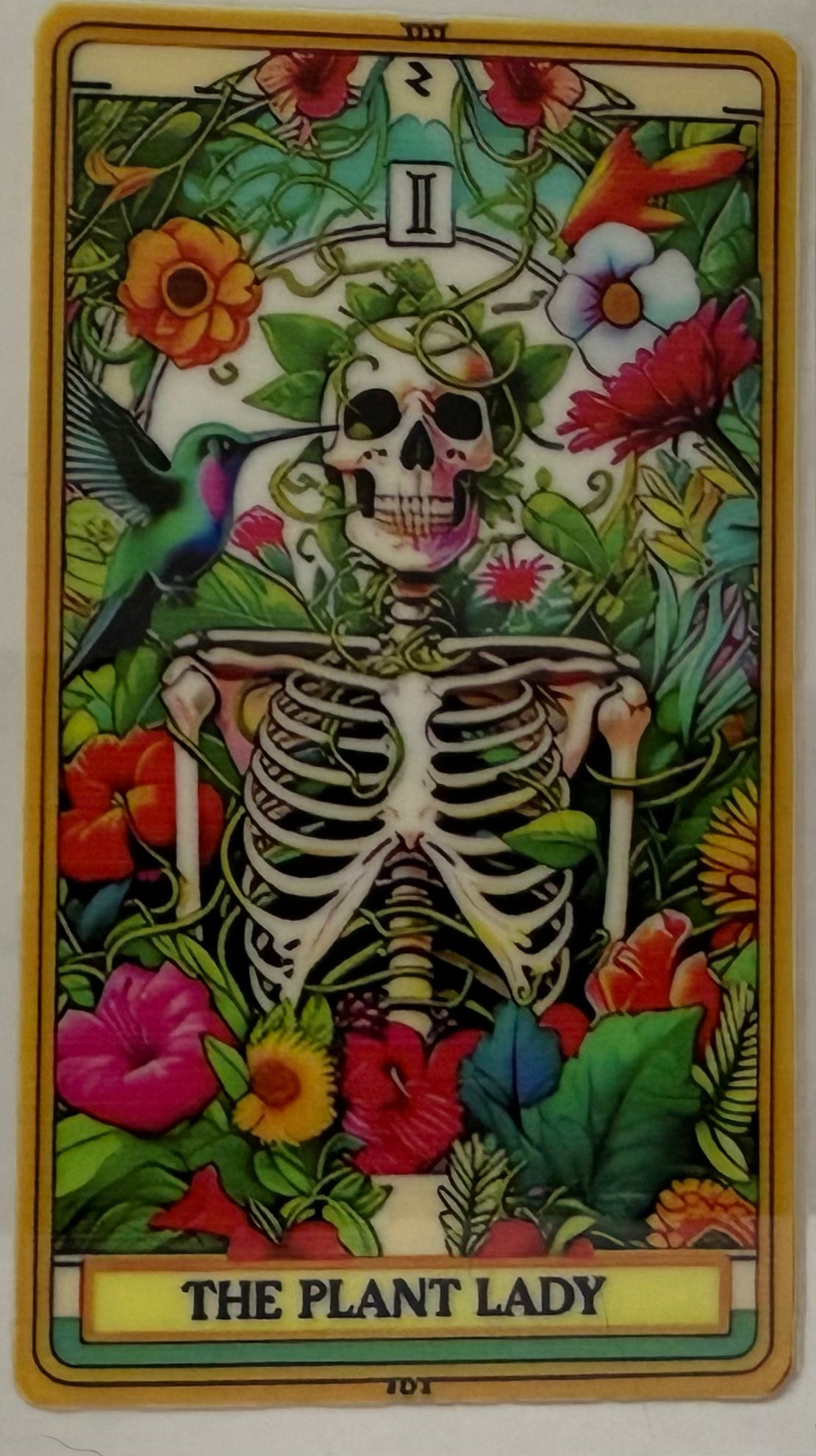 Skull
